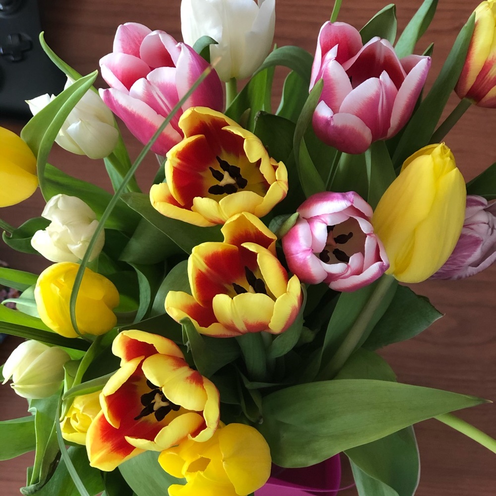 Meet your Posher, Lisa